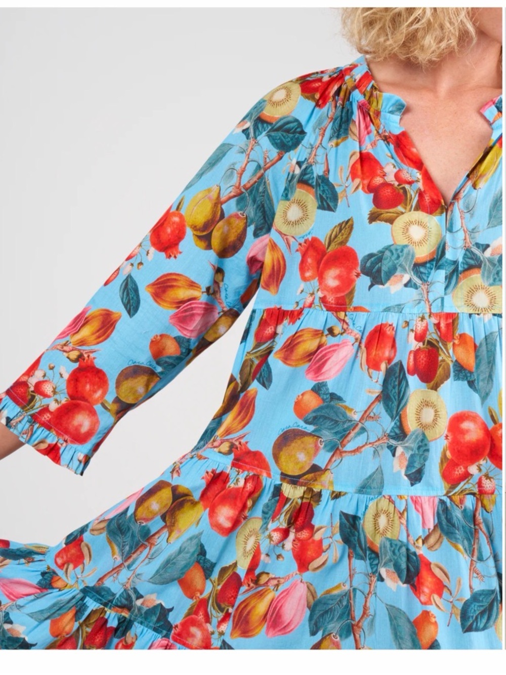 Cara Cara gibson dress - fruit blue Size XS/S
$395
color: fruit blue - Picture 2 of 16